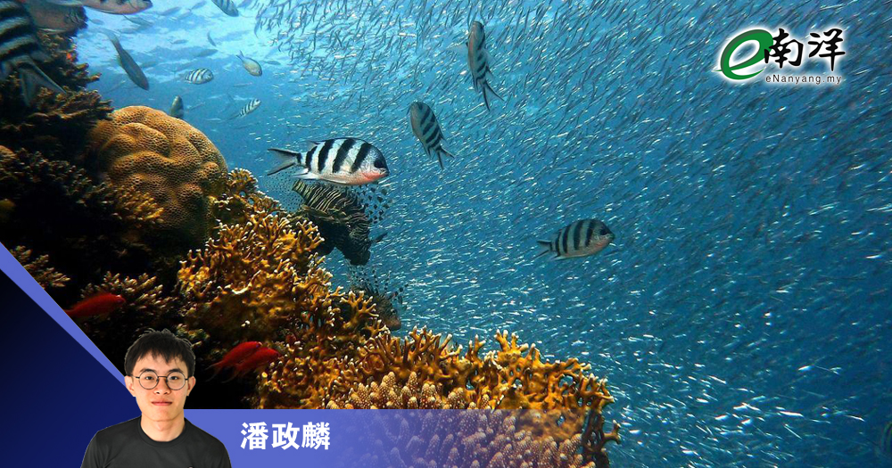 大马海洋资源不止渔业/潘政麟