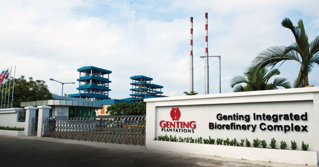 联营蔬菜育种研发 云顶种植开辟新财源