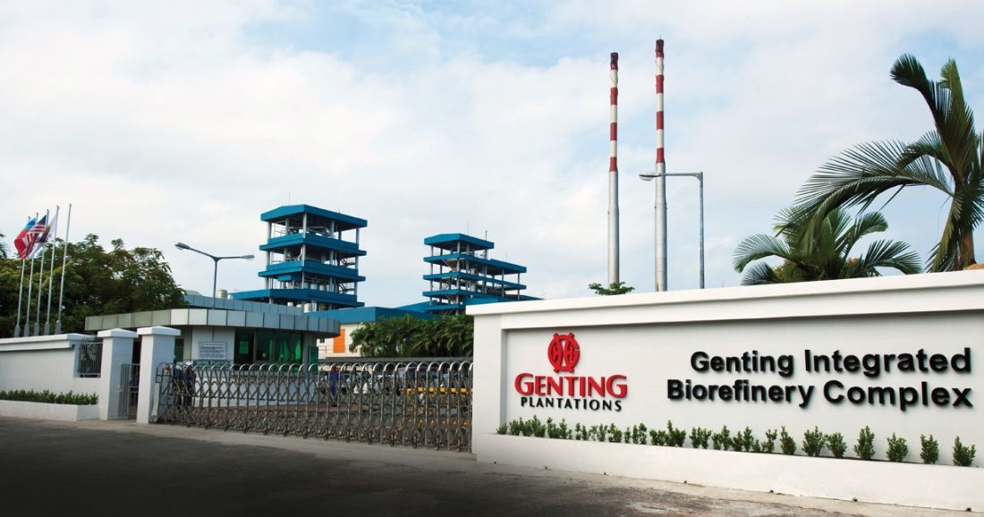 云顶种植与中企联营 打造蔬菜作物卓越中心