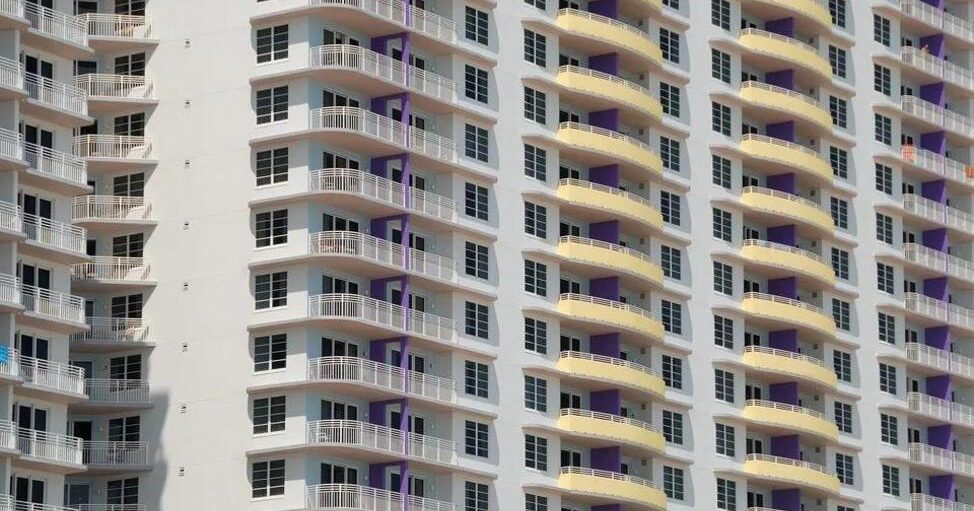 共管生活需“礼义廉耻”/张惟越