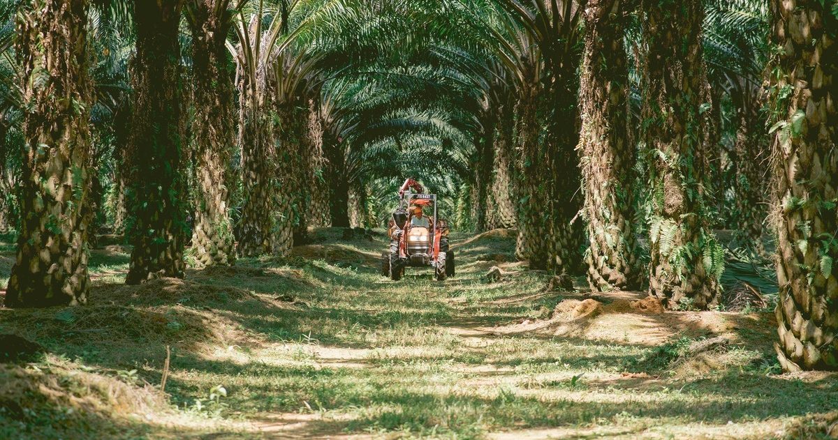 需求强劲·利率3.70% 柔佛种植发行2亿回债