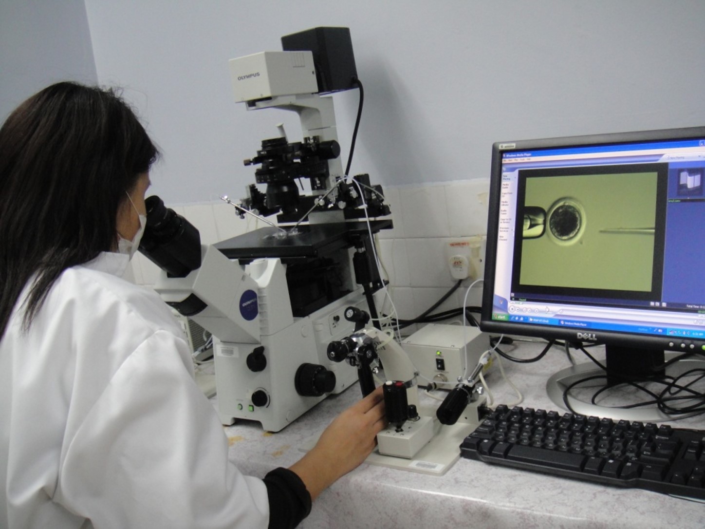 UTAR, 拉曼大学, 克隆,繁殖,胚胎