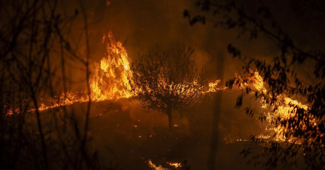 西班牙16天高温致1149人死 野火烧掉近50万座足球场