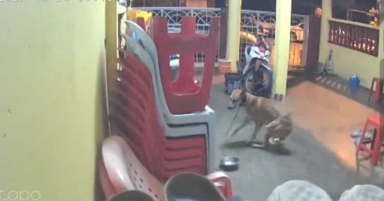 【昔加末地震】被突如其来的巨响吓坏 居民:是天然气管爆炸吗？