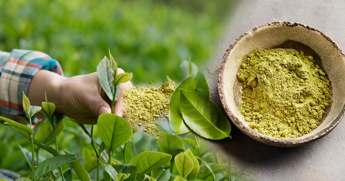 “绿金”热潮当道 日本受挫·中国突围