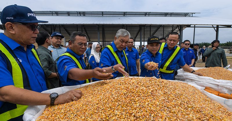 扎希:减少粮食进口 善用技职教育发展农业