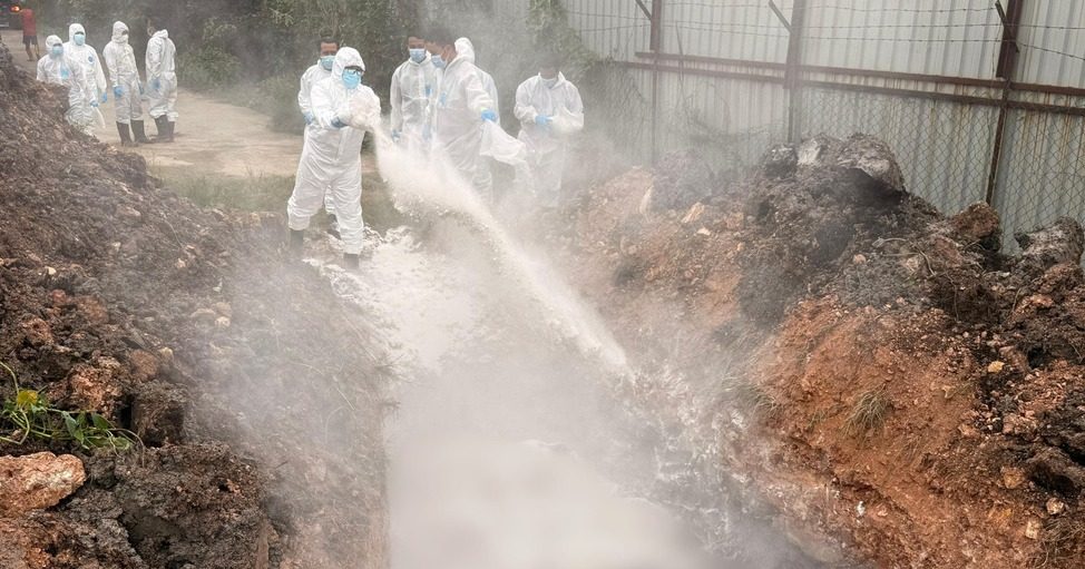 为何杀本地猪却进口疫区猪肉? 马华促农长解释防疫政策