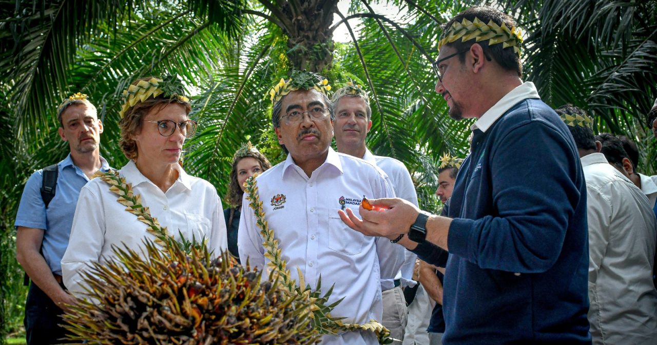 争取列欧盟零毁林低风险国 佐哈里:大马迈向正轨