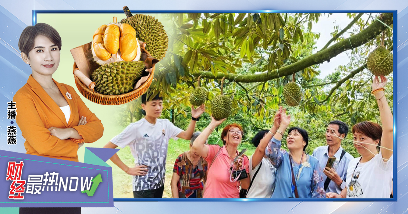 【财经最热NOW】9月7日｜榴梿研学游，火了
