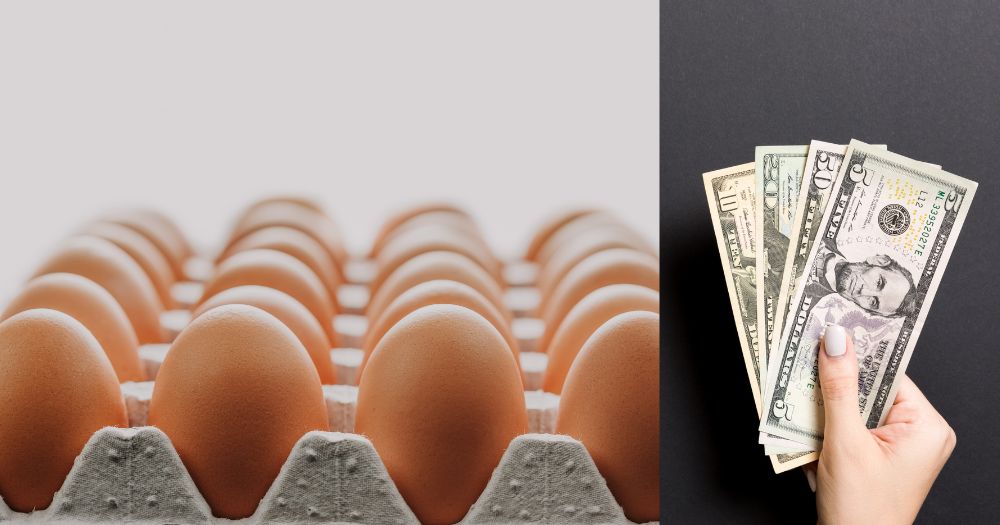 美国没人饿肚子? 特朗普喊停30年粮食调查 专家怒批:掩盖真相