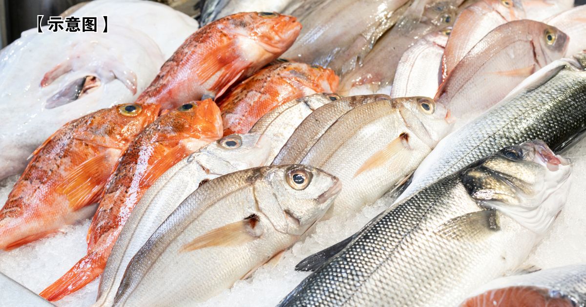 天天吃“1种鱼”恐中毒 医生揭惊人真相