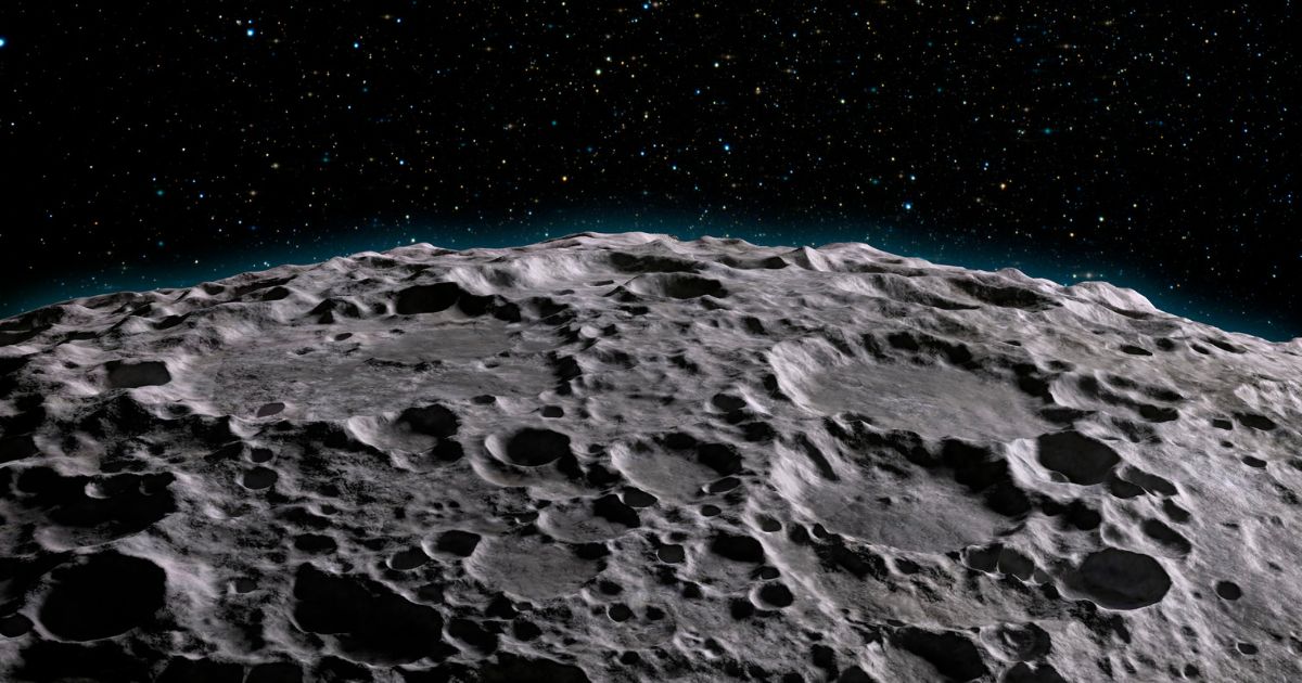 茶树成功发芽 研究发现月球土壤可栽种