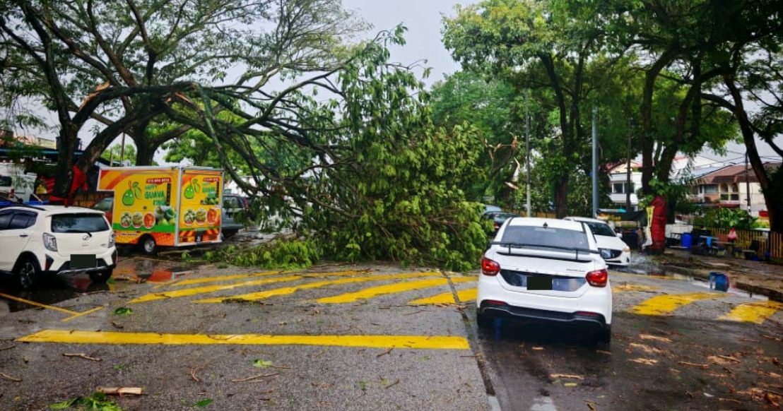 雪隆午后狂风暴雨 甲洞多地发生树倒