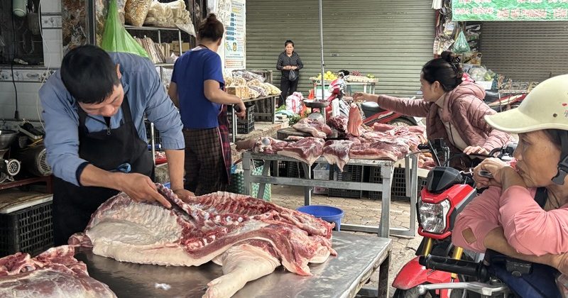 越南非洲猪瘟难控制 病死猪流入市面政府加强打击