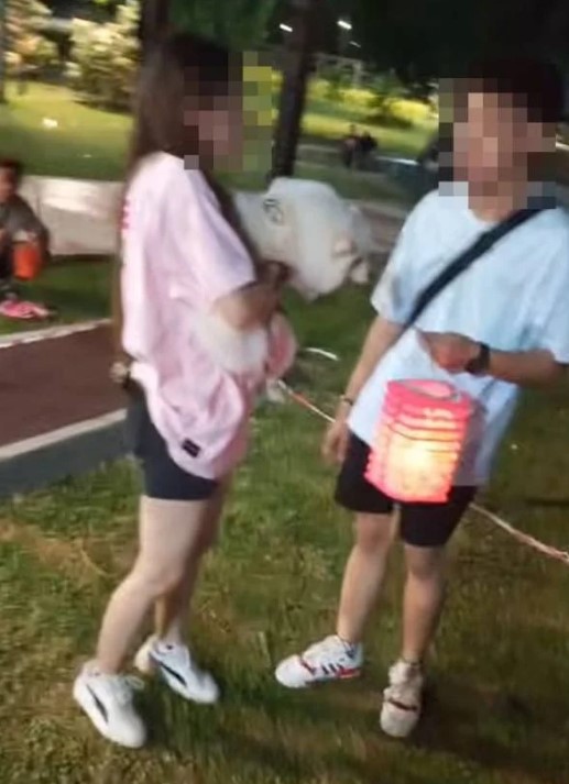  一对男在双溪大年银禧公园提灯笼时溜狗，引发网友广泛热议。