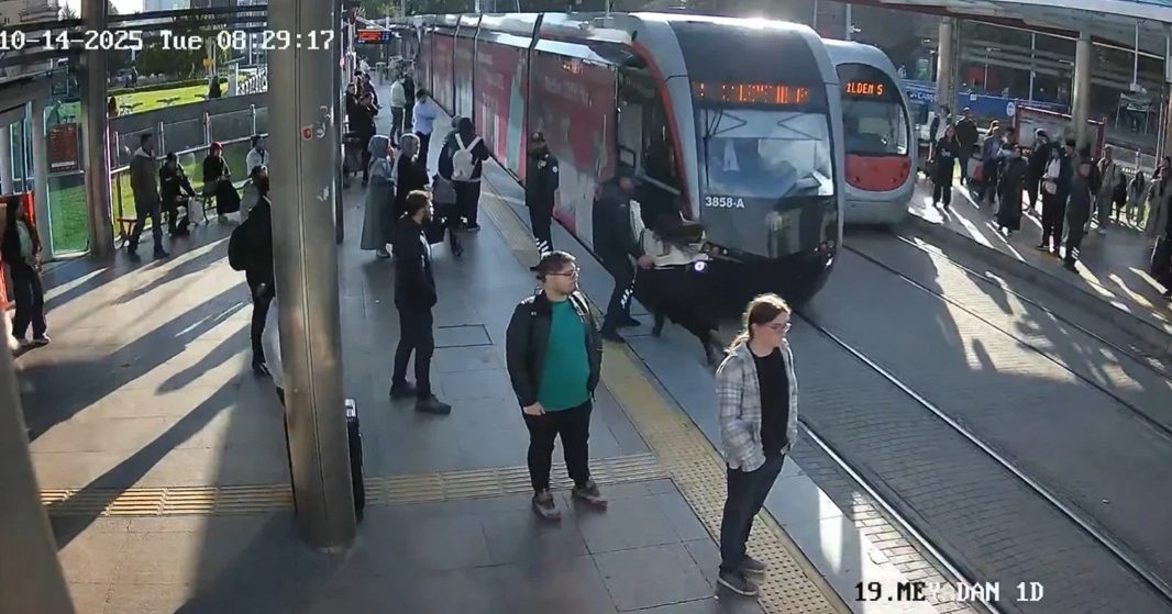 女子戴耳机闯电车轨 被撞前一秒遭拽回