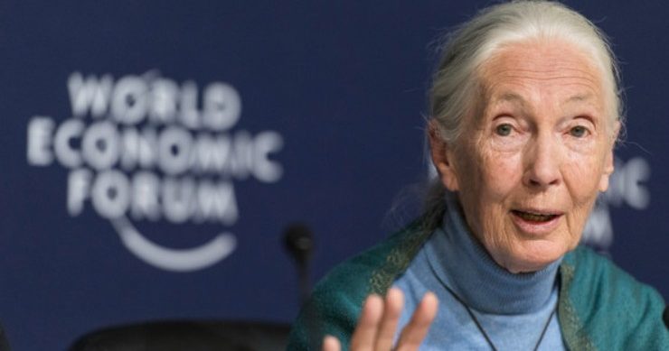 珍古德幽默遗愿曝光 把多国领袖“发射”上太空