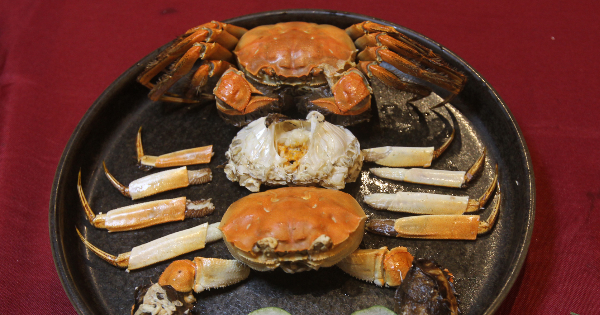 一壶古越龙山  唤醒秋蟹中国味