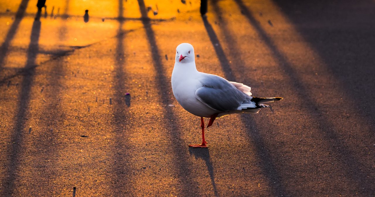 这世界本来就不公平/夏绍华