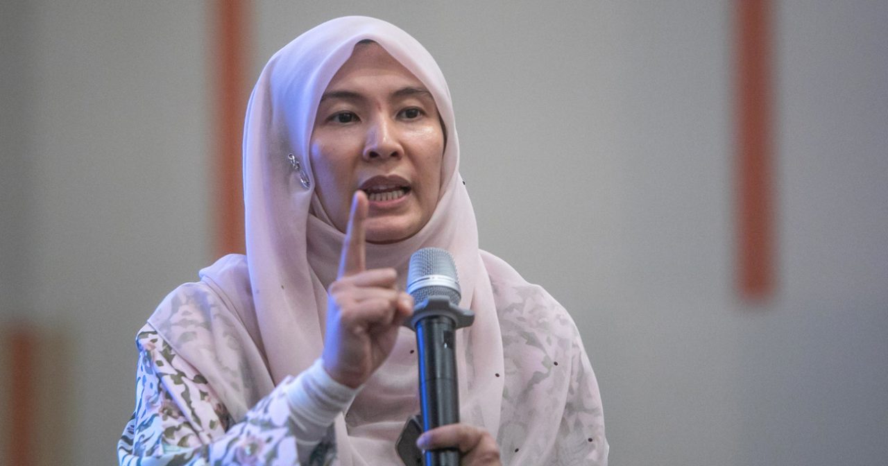 努鲁:财政永续不能太民粹 须逐步摆脱全面补贴