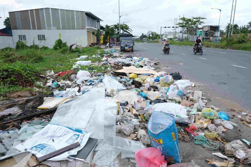 九龙江三角洲的塑料垃圾问题严重。（取自越南《劳动报》）
