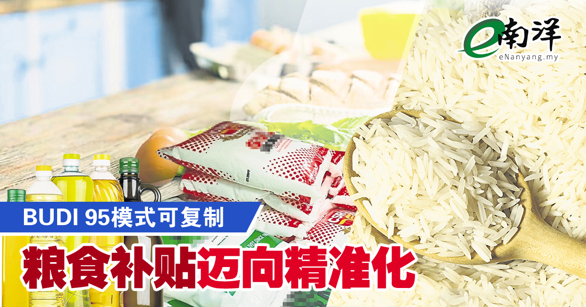 BUDI 95模式可复制 粮食补贴迈向精准化