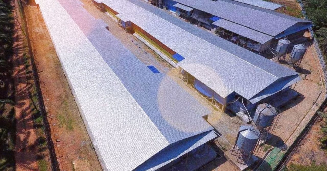 Farmiera IPO 超购16.69倍