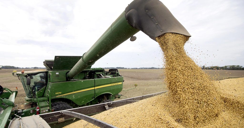 东南亚额外购1900万吨美国大豆 散装船迎来4个月荣景