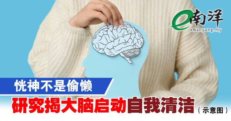恍神不是偷懒 研究揭大脑启动“自我清洁”