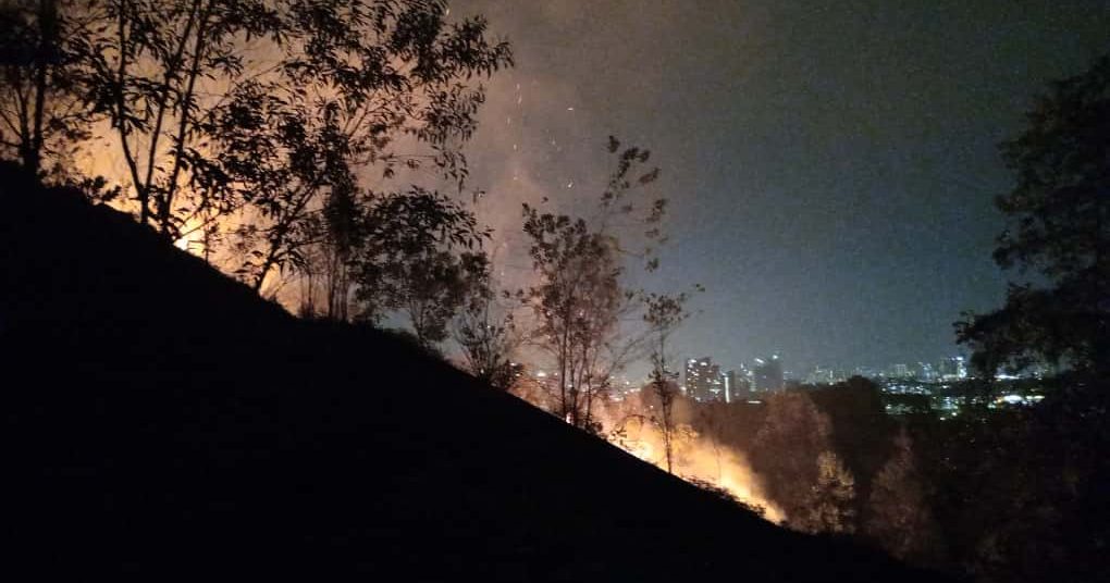 无拉港山区发生森林大火 消防员紧急灌救中