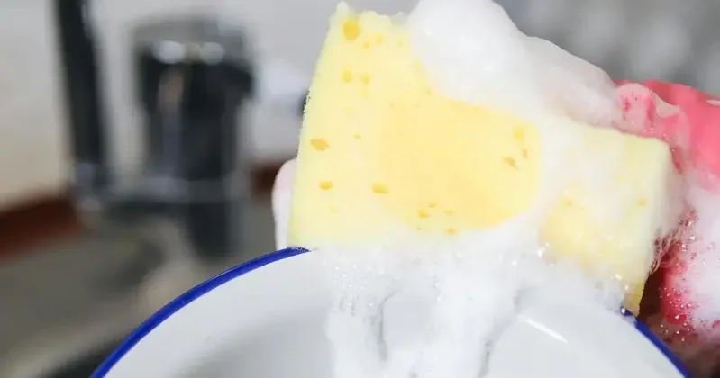 海绵堪称细菌培养皿 建议改用这些用具洗碗