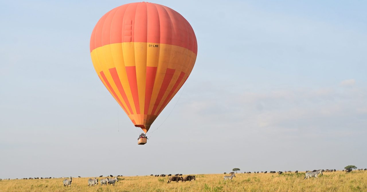当我走进肯尼亚 才明白什么叫人生的旷野
