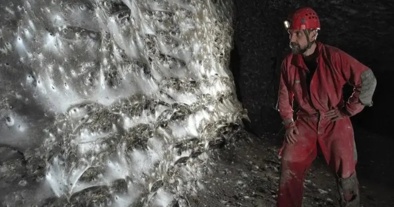 11万只蜘蛛共筑 全球最大蜘蛛网惊现硫磺洞