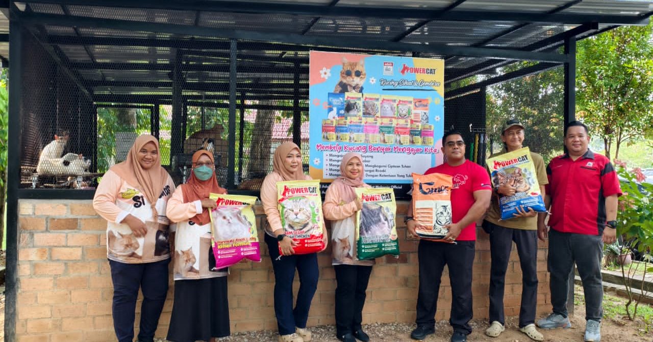 流浪猫关怀计划  企业捐赠35包猫粮