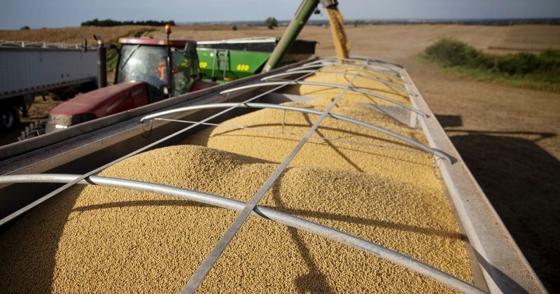 美企大豆恢复输华 中美农产品贸易紧张缓解