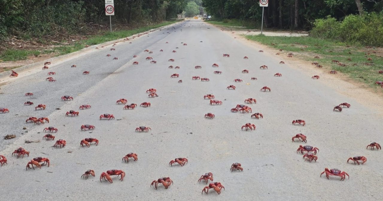 澳洲圣诞岛谷歌AI数据中心 可监控中国潜艇印度洋活动